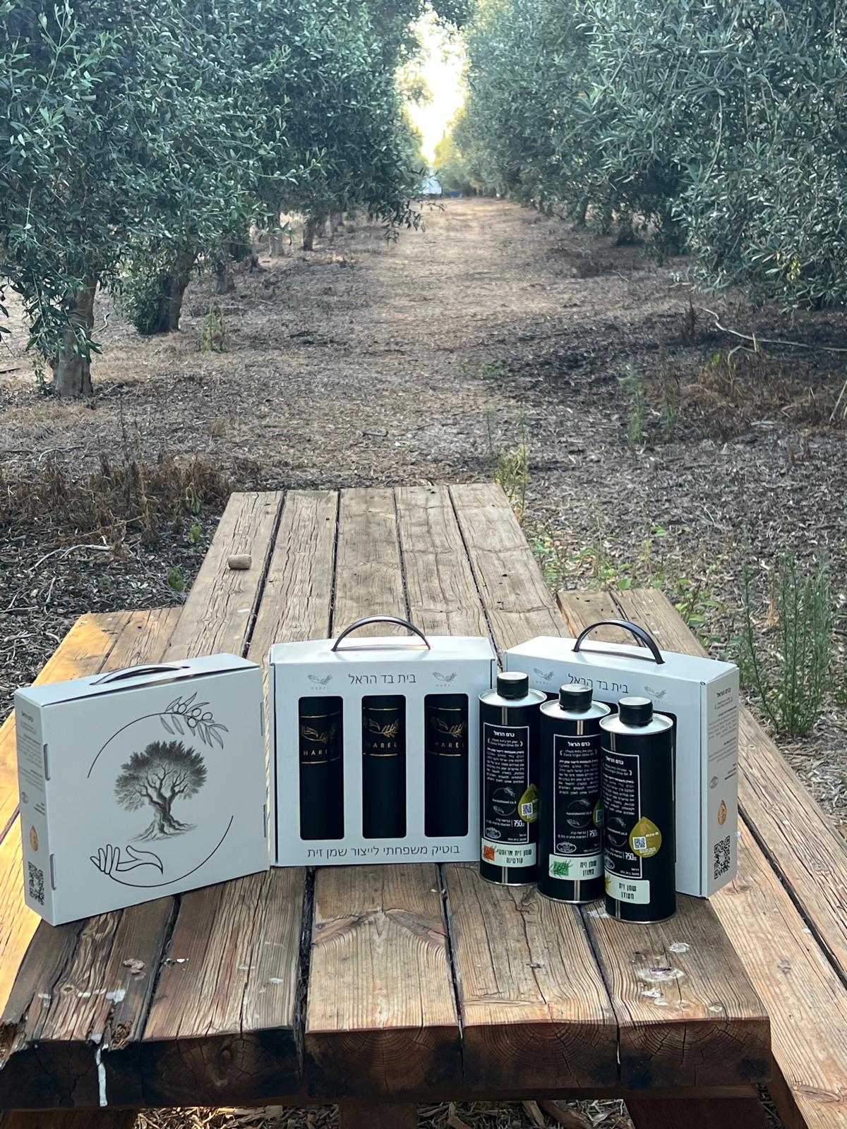 WhatsApp Image 2025-07-12 at 19.04.49 (2)